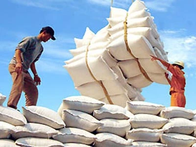 Vietnam busca aumentar exportaciones de arroz de alta calidad