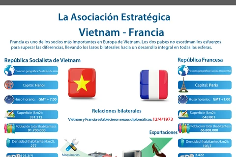 La Asociación Estratégica Vietnam- Francia