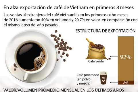 [Infografía] En alza exportación de café de Vietnam en primeros ocho meses 