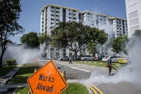 Disminuyen casos nuevos de Zika en Singapur