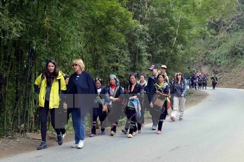 Aumenta la llegada de turistas extranjeros a Vietnam