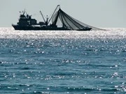 Myanmar prohíbe la pesca en algunas islas en el sur del país