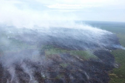 Incendio de turberas en Indonesia