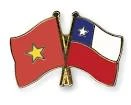 Vietnam y Chile efectúan consulta política