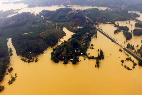 Se preparan localidades de Vietnam ante amenaza de tifón Sarika