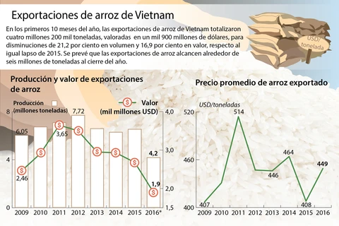 [Infografía] Exportaciones de arroz de Vietnam en primeros 10 meses