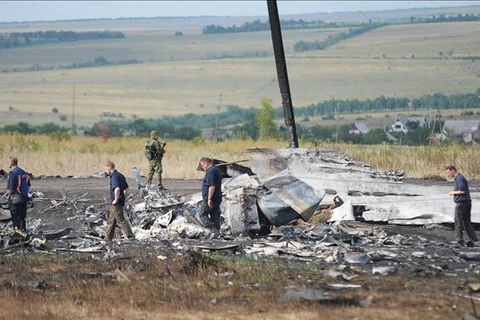 Responsables de tragedia del vuelo MH17 serán identificados en 2018