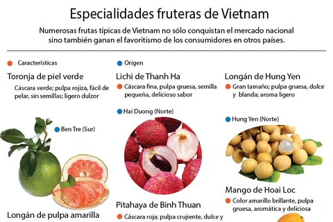 [Infografia] Especialidades fruteras de Vietnam