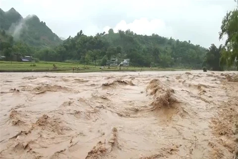 Vietnam sufre graves inundaciones