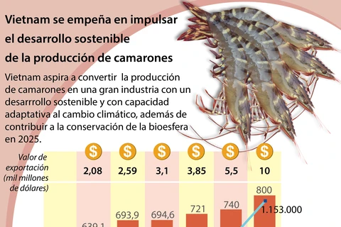 Vietnam aspira a desarrollar la industria de camarón