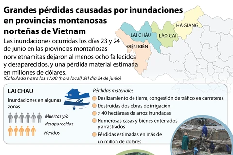 [Infografía] Grandes pérdidas causadas por inundaciones en Vietnam