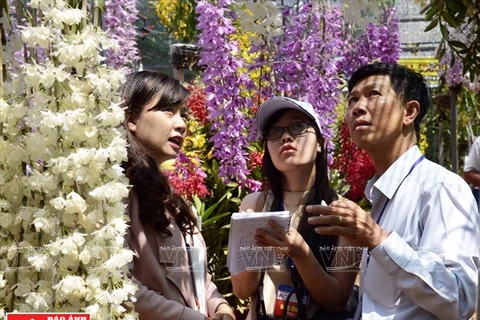 [Foto] Cultivo de orquídea de alta tecnología en provincia vietnamita de Lam Dong 