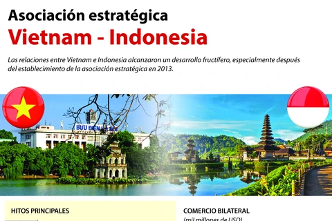 [Infografía] Asociación estratégica Vietnam - Indonesia