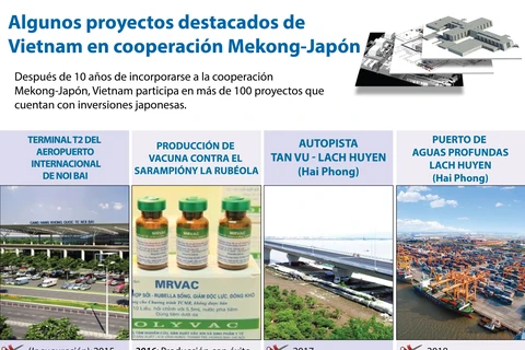 [Infografía] Algunos proyectos destacados de Vietnam en cooperación Mekong-Japón