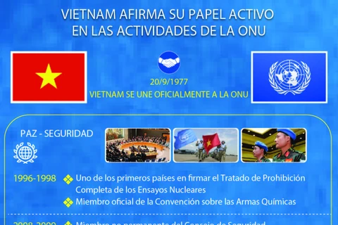 Vietnam afirma su papel activo en las actividades de la ONU