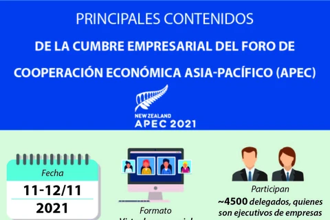 Contenidos principales de la Cumbre Empresarial del APEC 2021 