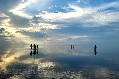 Capta el amanecer en el "mar infinito" en Thai Binh