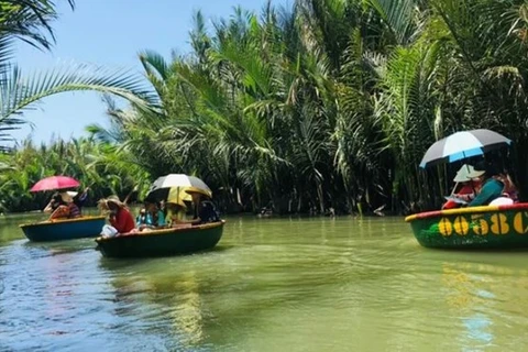 Tradicionales cabañas de bambú y palmas de agua renacen en Hoi An