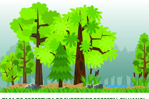 Tasa de cobertura de superficie forestal de Hanoi alcanza 5,67 por ciento