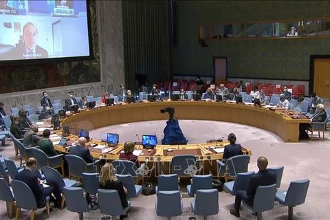 Ratifica Vietnam apoyo a equidad de género en proceso de paz en Sahel
