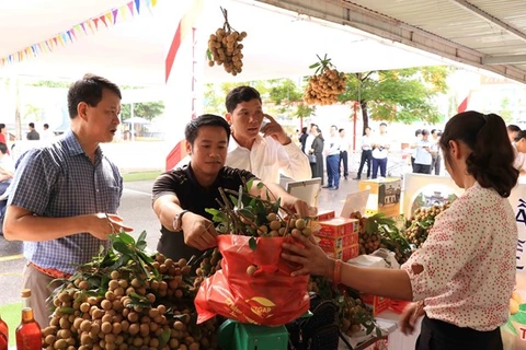 Comercio electrónico: canal de promoción del longan vietnamita