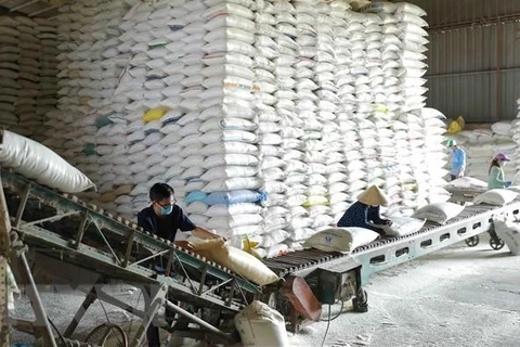 Gobierno vietnamita distribuirá más de 130 mil toneladas de arroz a 24 localidades