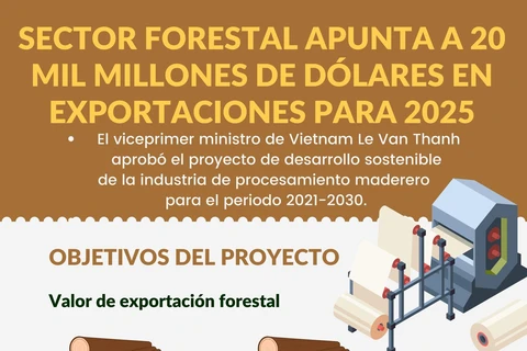 Sector forestal apunta a 20 mil millones de dólares en exportaciones para 2025