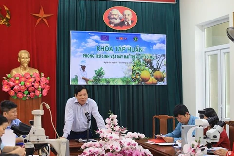 Exportación de productos agrícolas de Vietnam recibe apoyo de UE