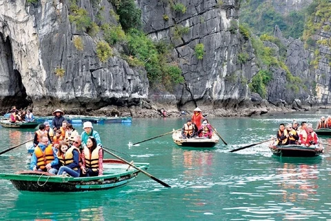Vietnam disfruta de fuerte aumento en número de turistas indios