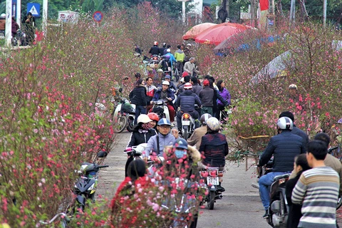 Mercados del Tet reflejan el alma de zonas rurales vietnamitas