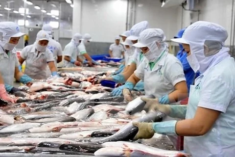 Vietnam goza de beneficios por reconocimiento del sistema de control finosanitario de pescado Tra ​