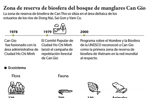 Zona de reserva de biosfera del bosque de manglares Can Gio