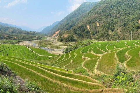 Belleza de las terrazas de arroz en provincia vietnamita de Lai Chau 