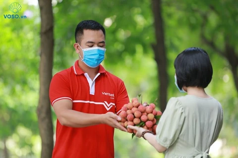 Impulsan venta de lichi en plataforma de e-comercio de Vietnam