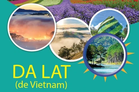 Ciudad de Vietnam entre mejores destinos del mundo para contemplar flores
