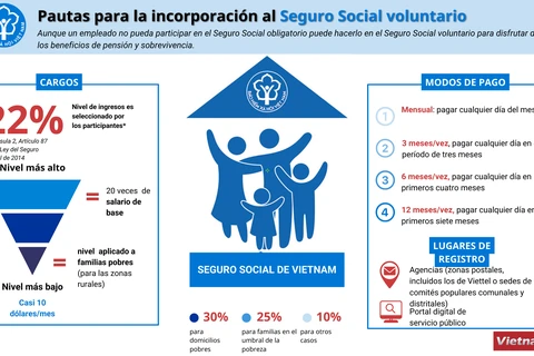 Pautas para la incorporación al Seguro Social voluntario