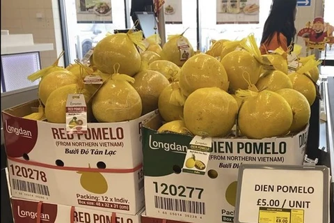 El primer lote de pomelos "Dien" llega a los estantes de supermercados del Reino Unido