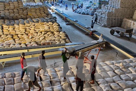 Precio del arroz de exportación alcanza nivel más alto en 10 años