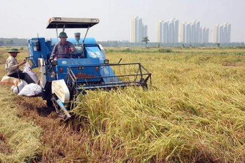 Cambio notable de zonas rurales a 15 años de expansión de Hanoi
