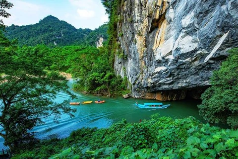 Dos décadas de preservación del patrimonio mundial Phong Nha - Ke Bang 