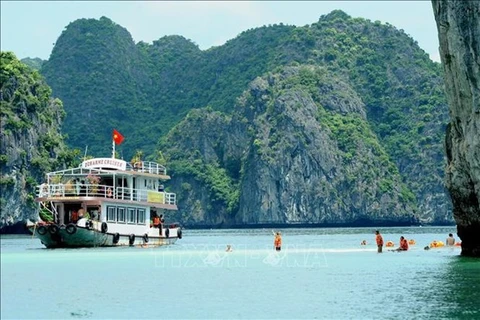 Aumentan esfuerzos de protección ambiental en Bahía de Ha Long 