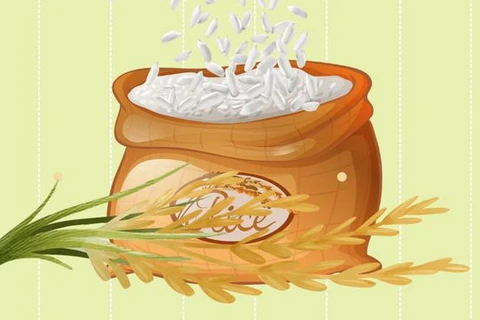 Exportación de arroz alcanza un récord de casi 8,3 millones de toneladas