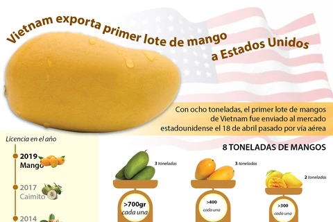[Info] Vietnam exporta primer lote de mango a Estados Unidos