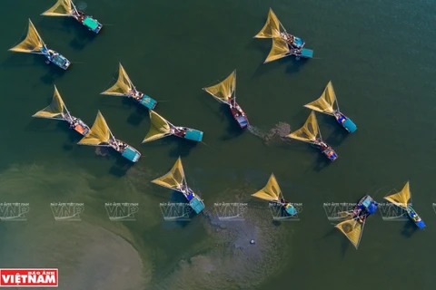 [Fotos] Pintorescos paisajes de Vietnam desde arriba
