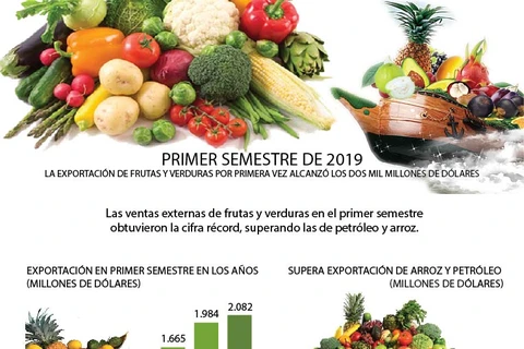 [Info] Las ventas externas de frutas y verduras en el primer semestre obtuvieron la cifra récord