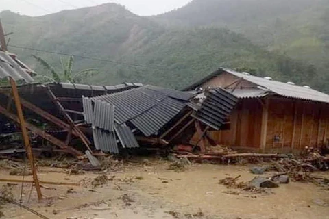 [Fotos] Tifón Wipha deja severos daños tras su paso a Vietnam 