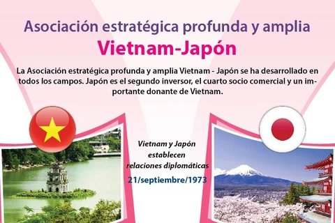 [Info] Asociación estratégica profunda y amplia Vietnam-Japón