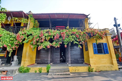 [Foto] Conocida ciudad turística de Hoi An en medio de COVID-19