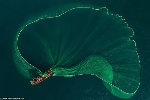 [Foto] Redes de pesca en provincia Phu Yen