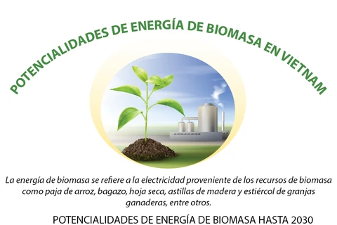 Potencialidades de energía de biomasa en Vietnam 